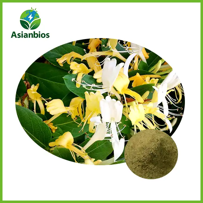 Honeysuckle Extract Powder